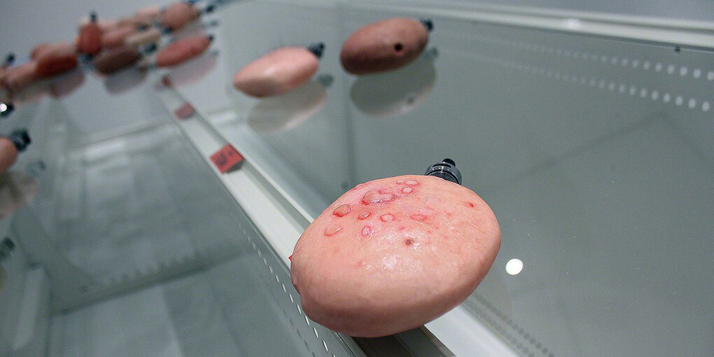 Uuuurrrraaaauuuunnnnyyyy. Courtesy of SNOW Contemporary 