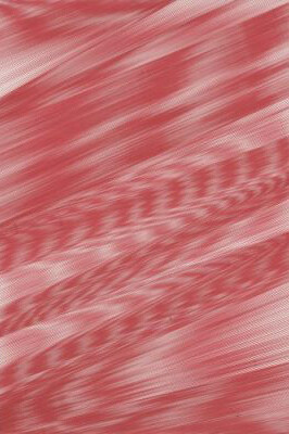 Caroline Kryzecki. Courtesy of ACE Gallery 