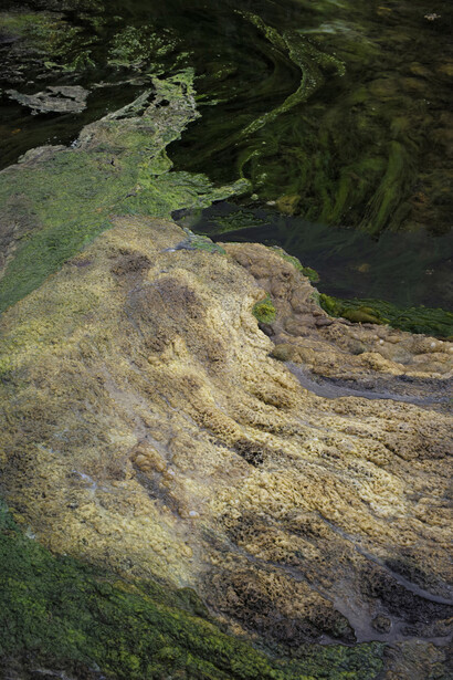 Jitka Hanzlová, Ur #4, 2018 (from the series WATER 2013-2019), chromogenic print, 22 13/16x16 15/16 inches. Courtesy of the artist and Yancey Richardson Gallery, New York