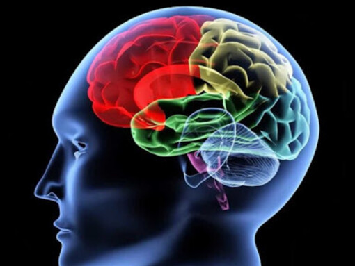 La prima cosa da fare è cercare di riportare il concetto astratto a una o più immagini