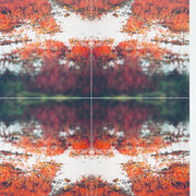 Jean-Luc Mylayne. Courtesy of Aargauer Kunsthaus