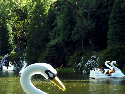 Desfrute de momentos relaxantes em meio à natureza no Lago Negro e aprecie as paisagens deslumbrantes da Serra Gaúcha