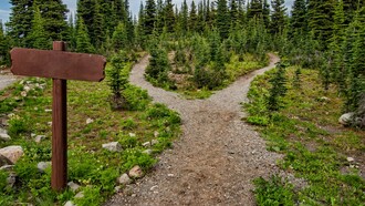 Footpath showing two different routes