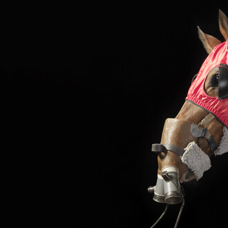 Gallery 8, Tim Flach, Masks Respiratory Measurement