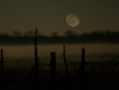 Roberta Manzin, Lunatica