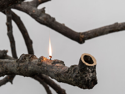 Ariel Schlesinger. Courtesy of Galleria Massimo Minini