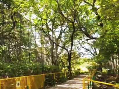 Crecí en medio de estos paisajes agrestes del trópico seco, y forman parte de mí, de lo que soy, cualquier cosa que esto signifique. Centro de Rescate y Santuario Las Pumas. Guanacaste, Costa Rica