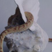 Katherinne Fiedler, En algún lugar / Somewhere in, 2021. Courtesy of Galeria Nave