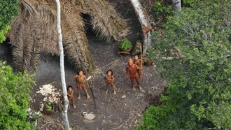 Una delle ultime tribù incontattate del mondo nella zona del Fiume Envira, nell’Amazzonia brasiliana. Sulla terra vivono almeno 100 tribù incontattate e sono tutte a rischio di estinzione.Fotografia © Gleison Miranda/FUNAI