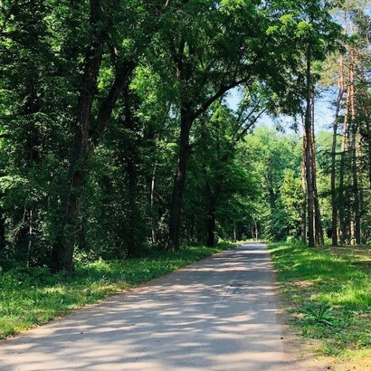 Una strada del parco di Monza, Italia