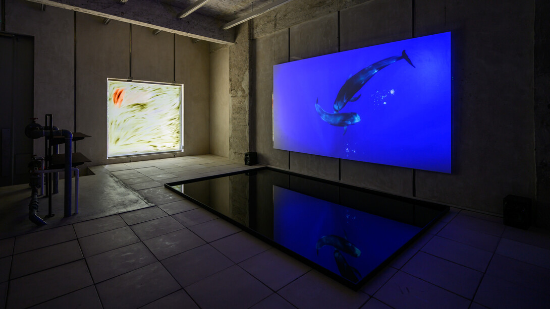 Dominique Knowles, The solemn and dignified, exhibition view. Courtesy of the artist and Kiang 
Malingue. Photo by Samson Wong Pak Hang