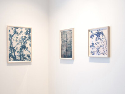 Dora Somosi, Understory, in blue, exhibition view. Courtesy of Sarah Shepard Gallery
