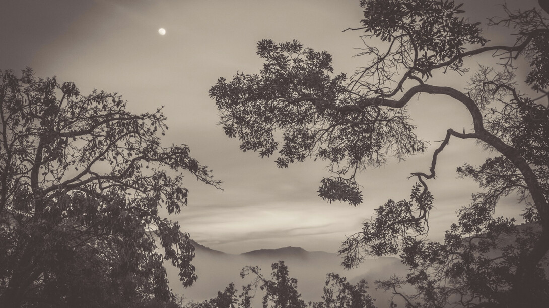 Julian Lennon, Asian dusk, 2017. Courtesy of Fremin Gallery 