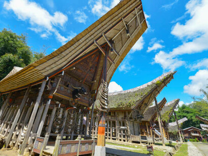 In the lush landscapes of Sulawesi, Indonesia, the houses of Tana Toraja stand out as architectural marvels, with their intricate carvings and vibrant colors telling stories of the region's rich heritage