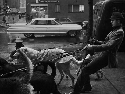 A principios de la década de 1960, Buck se levantaba cada mañana al amanecer para pasear a los perros de los clientes