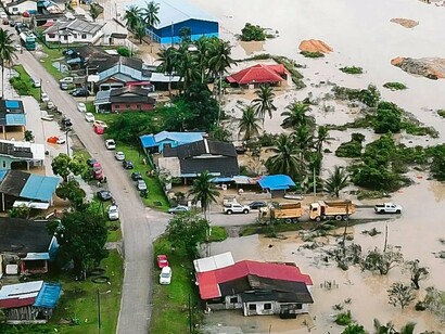 Pinheirais inteiros tombados para os lados, como varetas espalhadas por uma criança no jardim de infância. Tal como se um monstro gigante os tivesse penteado