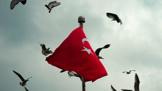 Le drapeau agitant de la Tunisie entouré d'oiseaux en vol
