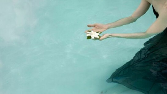 Rosanne Olson, Release, 2010, Archival pigment