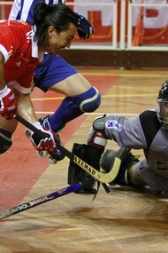 Hóquei em Patins. Mão a mão frente do gol