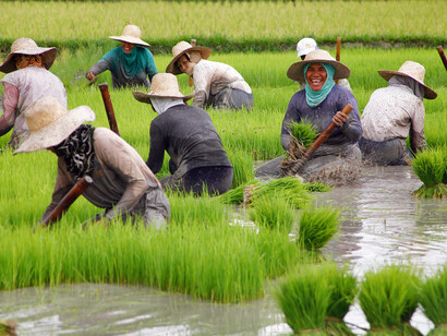 En países de Asia y África son mayoría las mujeres que trabajan en el campo y, sin embargo, la propiedad femenina de las tierras apenas alcanza el 20%