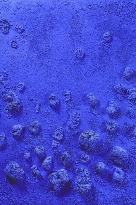 Yves Klein (1928–1962)
Relief éponge bleu, 1960
Schwamm, Stein und Farbpigmente auf Holz und Leinwand, 145 × 116 cm
Städel Museum, Frankfurt am Main
© The Estate of Yves Klein / VG Bild-Kunst, Bonn 2019, Foto: U. Edelmann