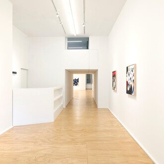 Susumu Kamijo, Fish and flowers, exhibition view. Courtesy of Venus Over Manhattan