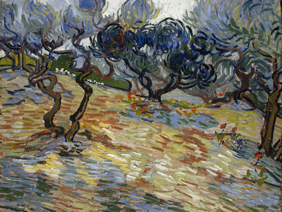 Vincent Van Gogh, Olive trees