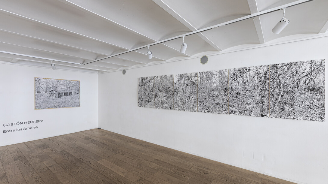 Gastón Herrera, Among the trees, exhibition view. Courtesy of Praxis