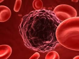 Red blood cells