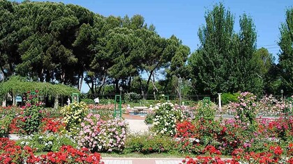 Madrid. La rosaleda del Parque del Oeste