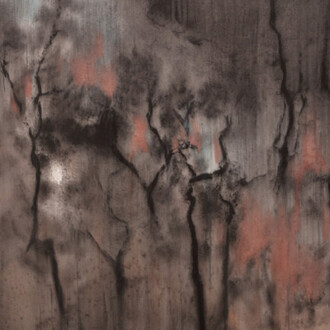 Lin Yusi. Courtesy of Galerie Loft