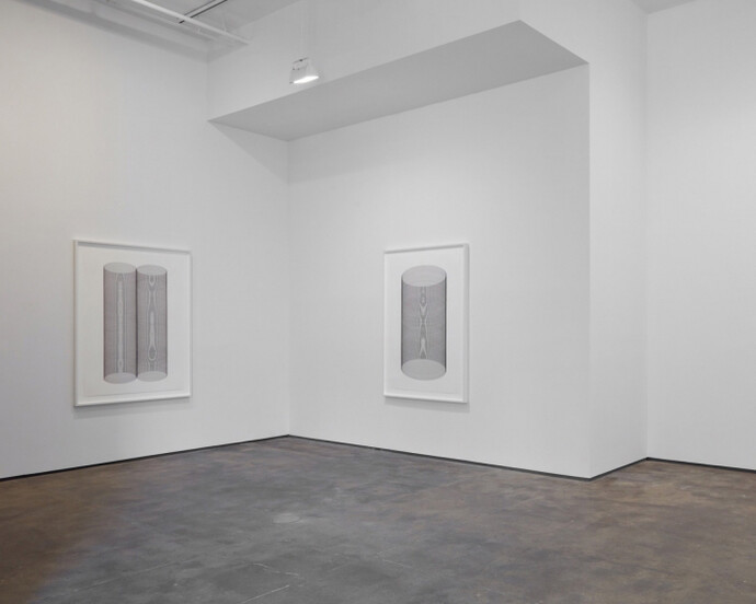 Iran do Espírito Santo, Exhibition view. Courtesy of Sean Kelly