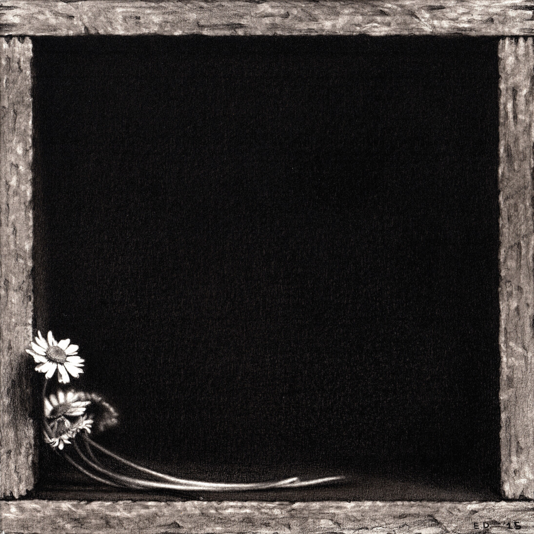 Emanuele Dascanio, Rothko's flowers, Carboncino e grafite su cartone applicato su tela, 15 x 15 cm, 2015