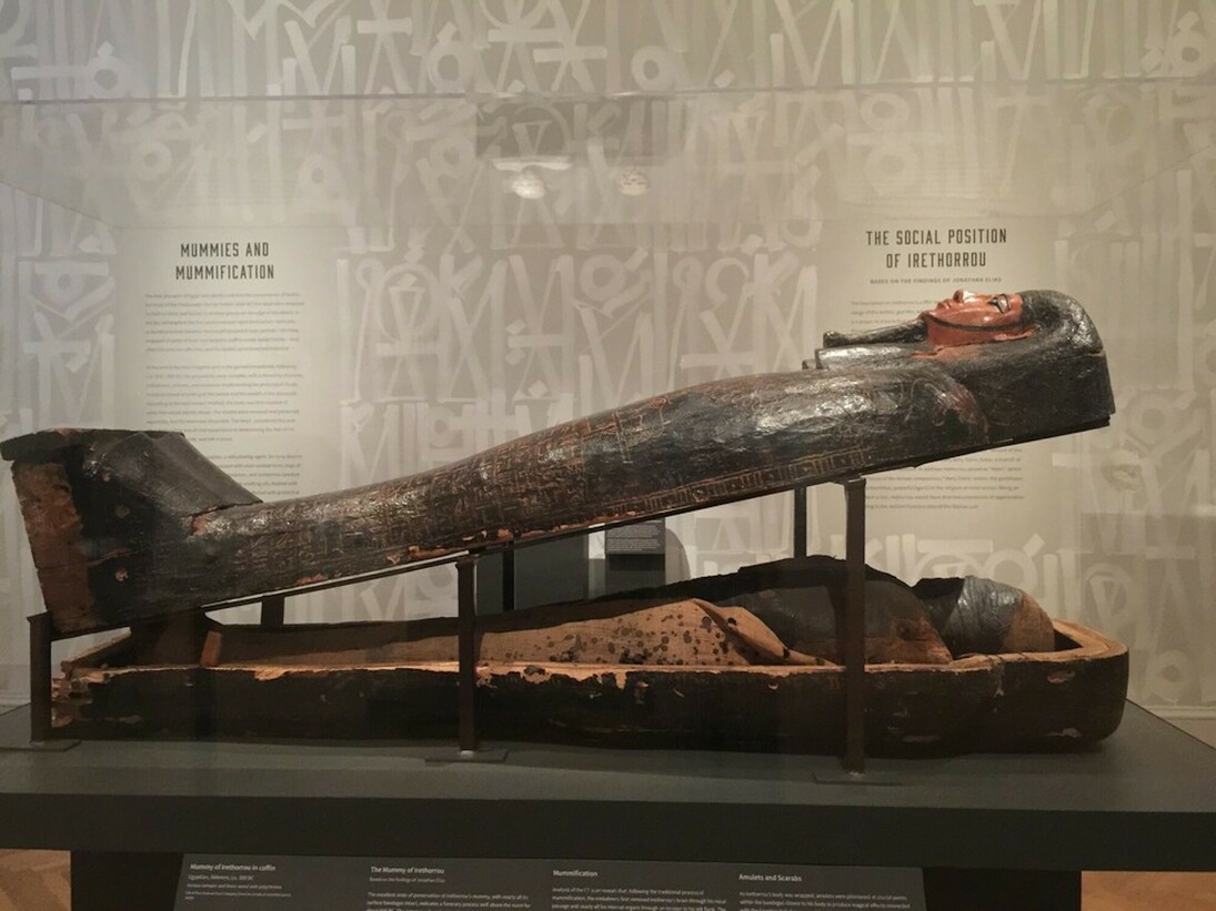 Mummies and Medicine, Exhibition view. Courtesy of Legion of Honor