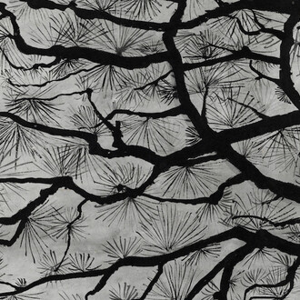 Edgar Honetschläger, Sugi from the series Sumi-e, 2013. Courtesy of Nordico Stadtmuseum