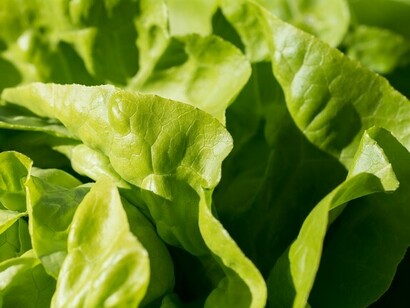 Verde que te quiero verde