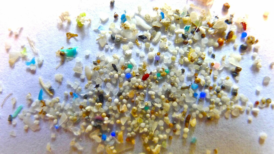 La microplastica rappresenta una preoccupazione crescente negli habitat naturali