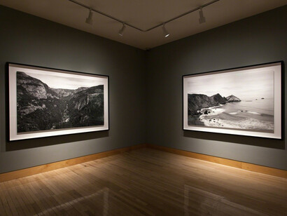 Richard Learoyd. Courtesy of Fraenkel Gallery 