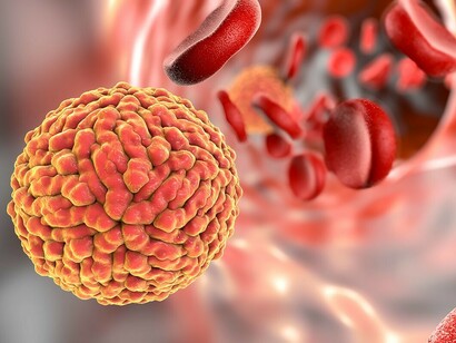 Virus zica en la sangre