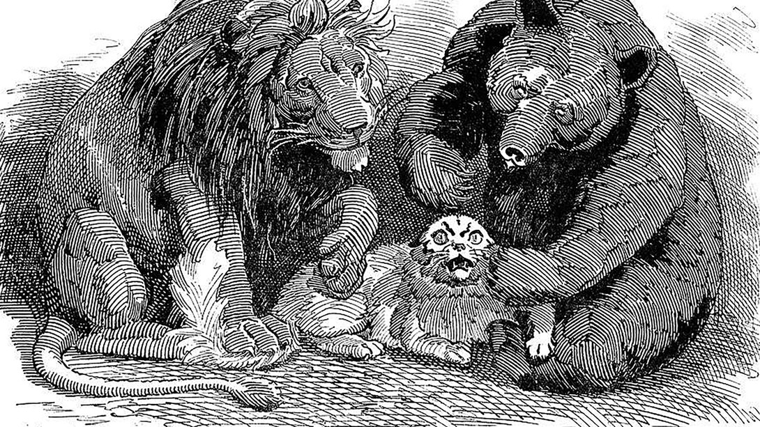 "The Harmless Necessary Cat", The name of this cartoon is extracted from The Merchant of Venice by Shakespeare. This reference quite clearly indicates that the Persian cat in this cartoon is looked upon with no respect or admiration