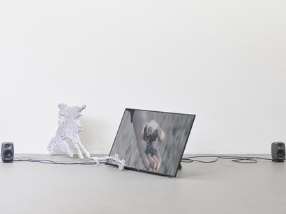 Rebecca Moccia, Nostalgism, exhibition view. Courtesy of Temple Bar Gallery + Studios