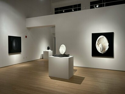 Nathalia Edenmont, Out of body, exhibition view. Courtesy of Nancy Hoffman Gallery