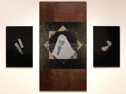 Meridel Rubenstein. Courtesy of Brian Gross Fine Art