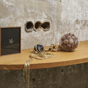 Kelly Akashi, An Archive from Two Perspectives, 2017, detail, SculptureCenter, New York 2017. Cherry wood, brass, glass, two walnut framed ortho litho film prints, bronze, rope, copper foil. Dimensions variable. Courtesy the artist and Ghebaly Gallery, Los Angeles. Photo: Kyle Knodell


