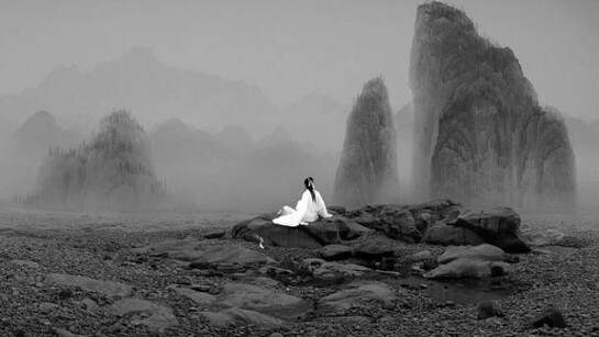 Yang Yongliang, Silent Valley, A snake and granade, cm 66x18, edition 8