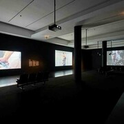 Ecos. Vídeos de la donación de la Fundación Han Nefkens, vista de exhibición. Cortesía de Museu d’Art Contemporani de Barcelona (MACBA)