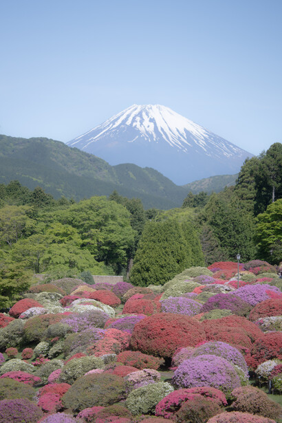 Rinko Kawauchi, Untitled, 2024. Copyright Rinko Kawauchi, Courtesy of Rosegallery 