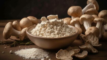 Farina di funghi. Le micoproteine sono una delle fonti di proteine vegetali più promettenti per realizzare alimenti alternativi alla carne