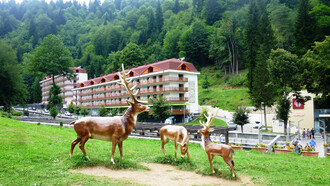 Sairme, home to the Monument of Deer, nestled in the lush mountain valleys of Georgia