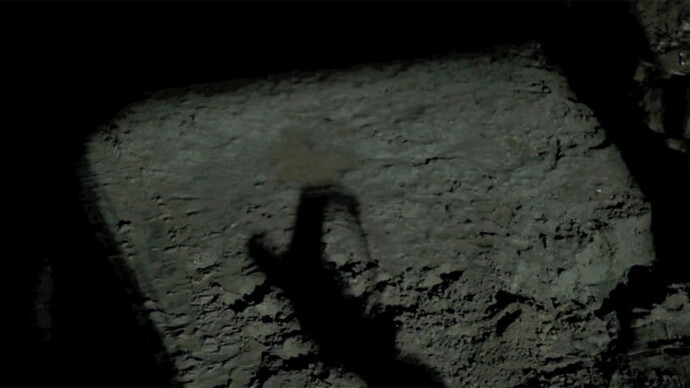 "O Impulso que nos Move", vídeo looping (12 hours). Courtesy of Galeria Mezanino